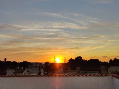 Gallery Thumb 8